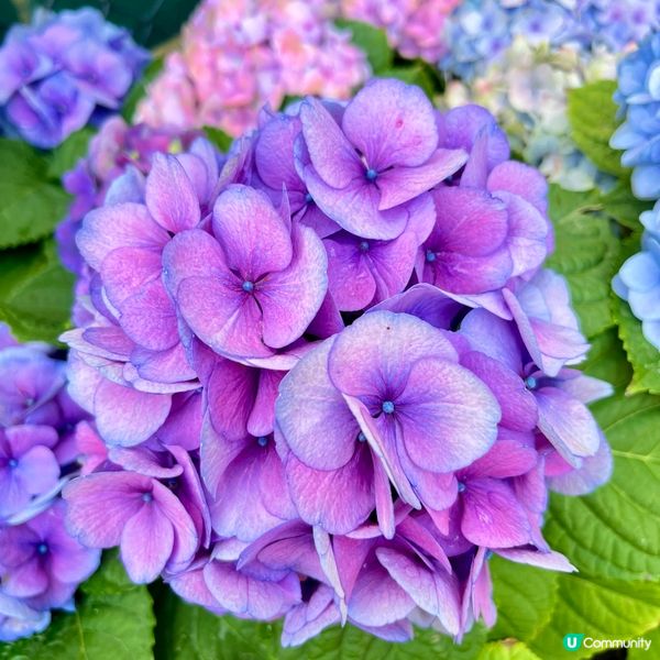 北區公園：古今樂園任你玩！🤩