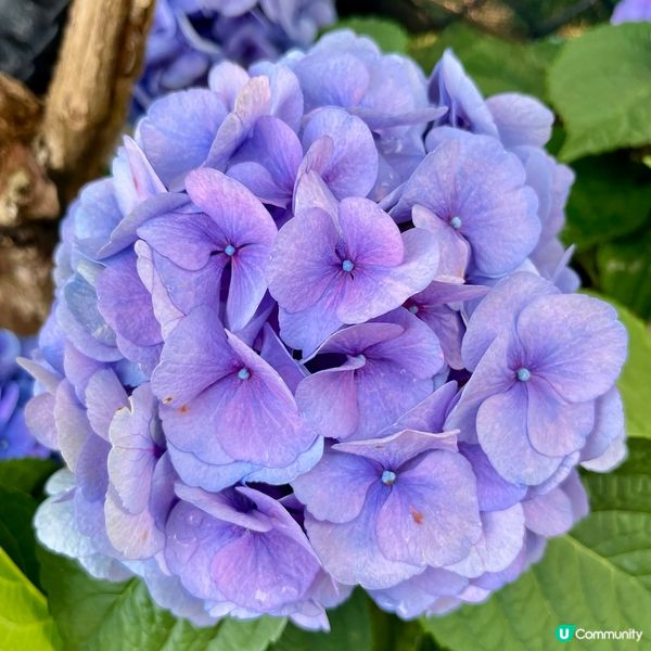 北區公園：古今樂園任你玩！🤩