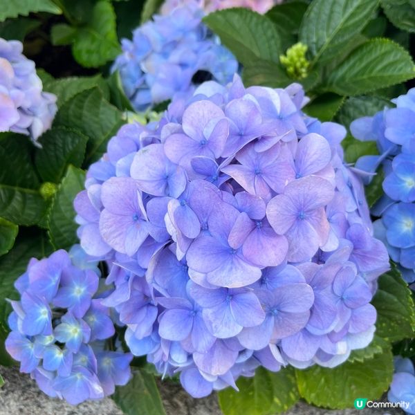 北區公園：古今樂園任你玩！🤩