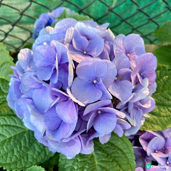 北區公園：古今樂園任你玩！🤩