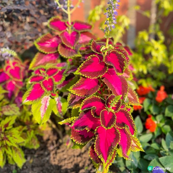 北區公園：古今樂園任你玩！🤩