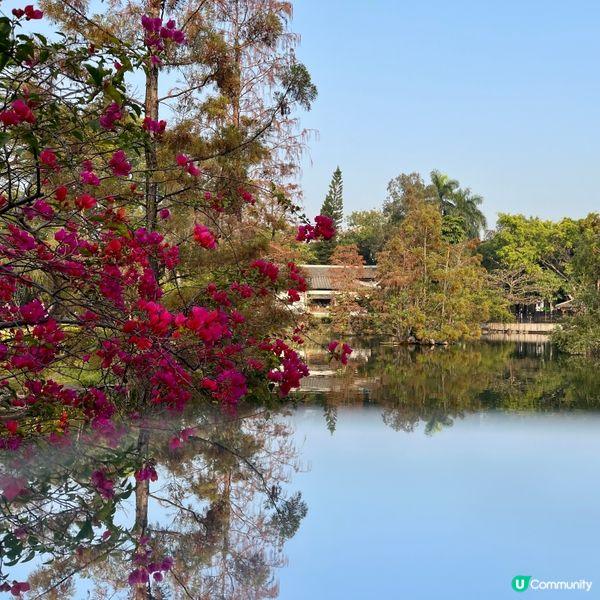 北區公園：古今樂園任你玩！🤩