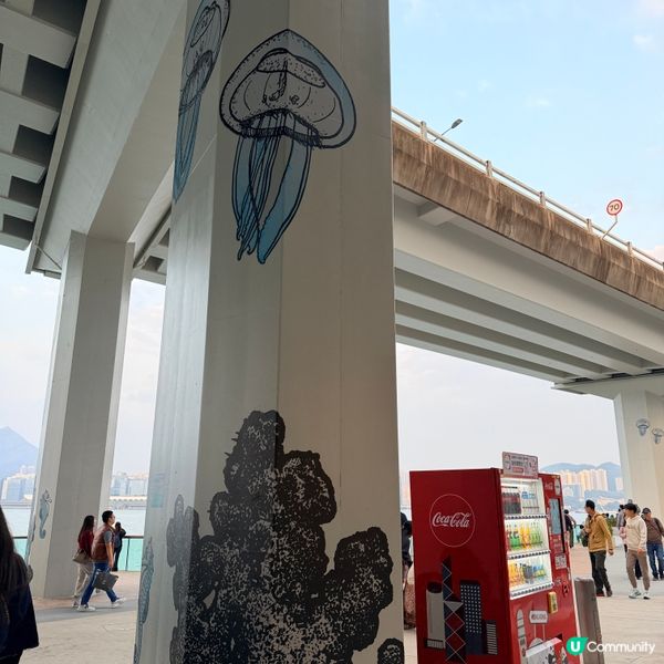 🚶🐶🚢東岸長廊靚景！維港任你行，任你睇！✨