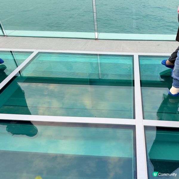 🚶🐶🚢東岸長廊靚景！維港任你行，任你睇！✨