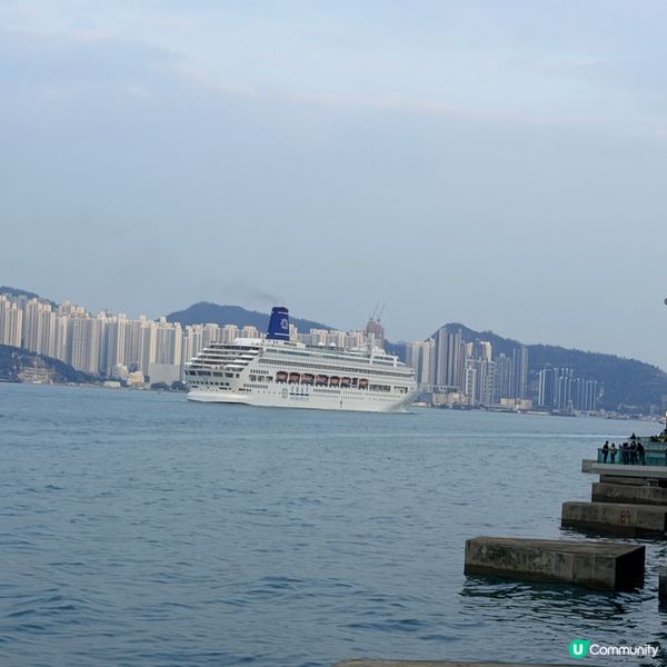🚶🐶🚢東岸長廊靚景！維港任你行，任你睇！✨
