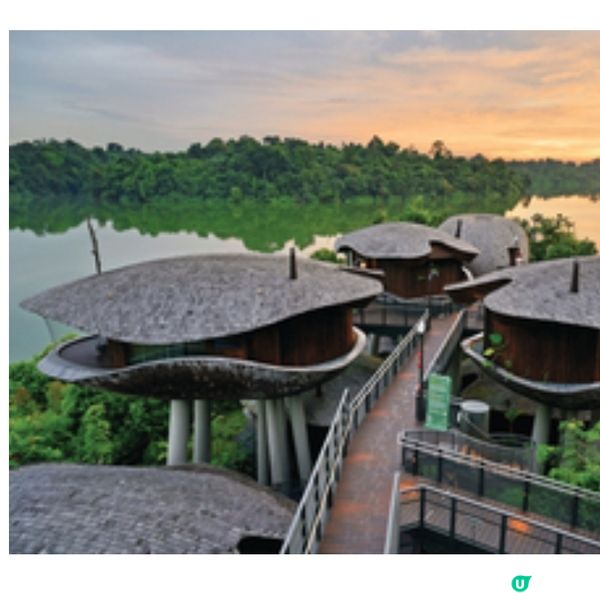 新加坡悅榕集團全新度假村 深入萬態雨林 魔幻風兒童俱樂部