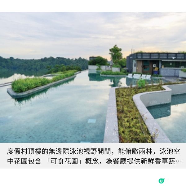 新加坡悅榕集團全新度假村 深入萬態雨林 魔幻風兒童俱樂部