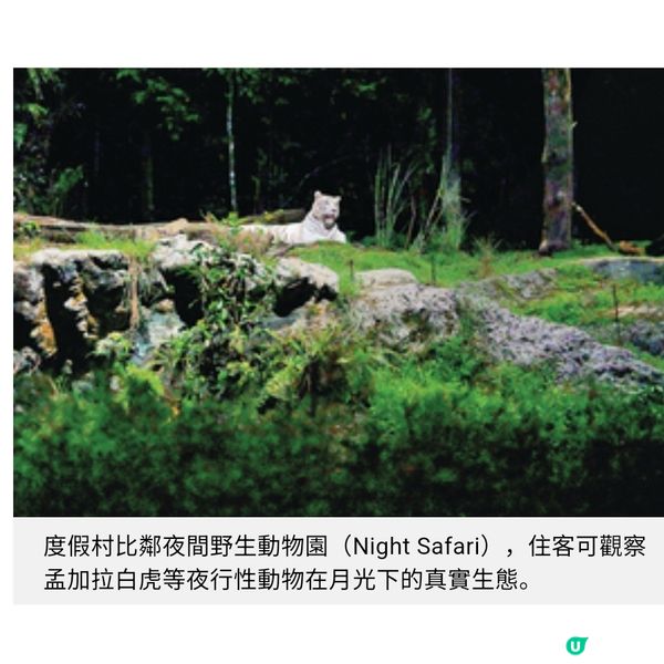 新加坡悅榕集團全新度假村 深入萬態雨林 魔幻風兒童俱樂部