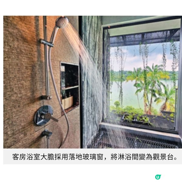 新加坡悅榕集團全新度假村 深入萬態雨林 魔幻風兒童俱樂部