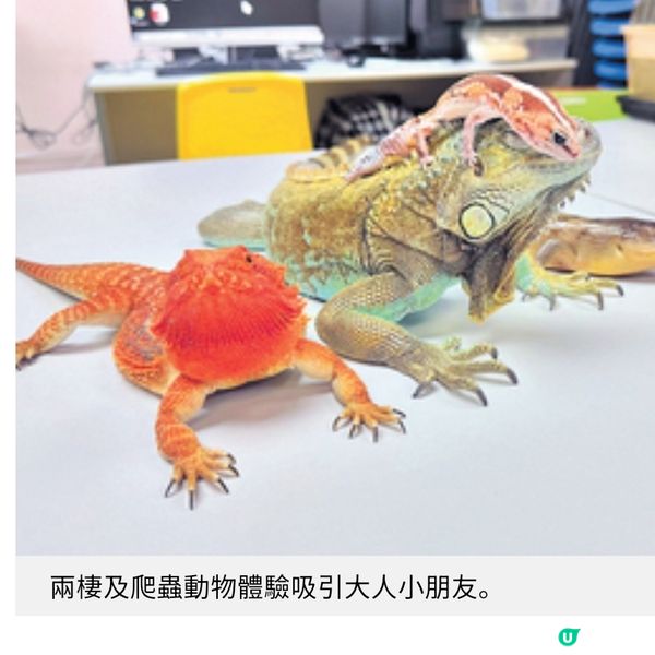 裳在童心與環保共融 義賣同樂日為童裝尋新生