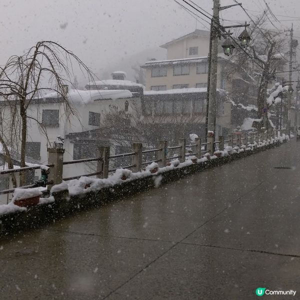 粉雪天堂 野沢溫泉村 ！！