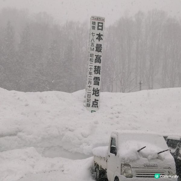 粉雪天堂 野沢溫泉村 ！！