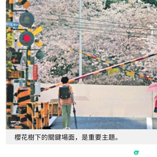 新海誠經典首度改編真人版《秒速5厘米》復現櫻花樹下的愛情