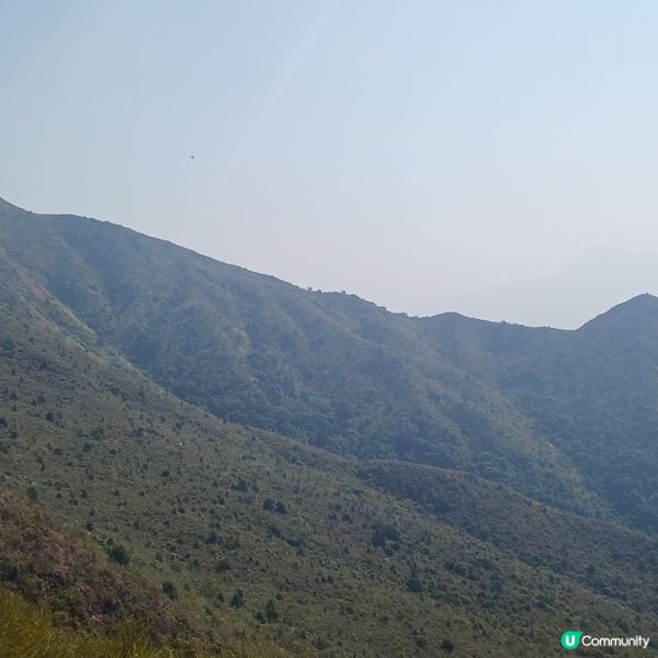 大埔頭 九龍坑山 八仙嶺