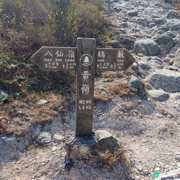 大埔頭 九龍坑山 八仙嶺