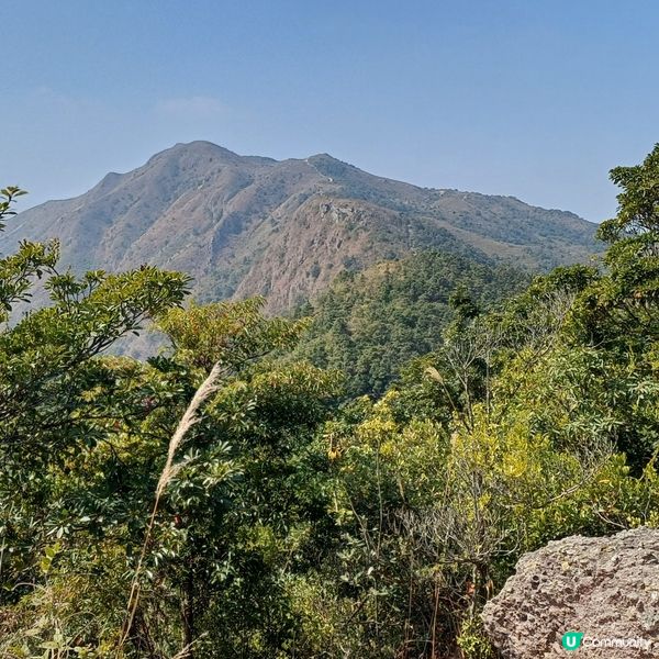 大埔頭 九龍坑山 八仙嶺