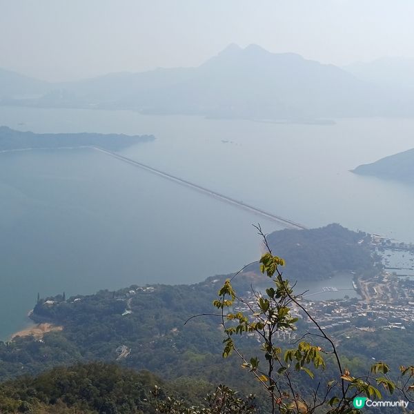 大埔頭 九龍坑山 八仙嶺