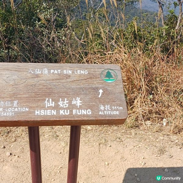 大埔頭 九龍坑山 八仙嶺