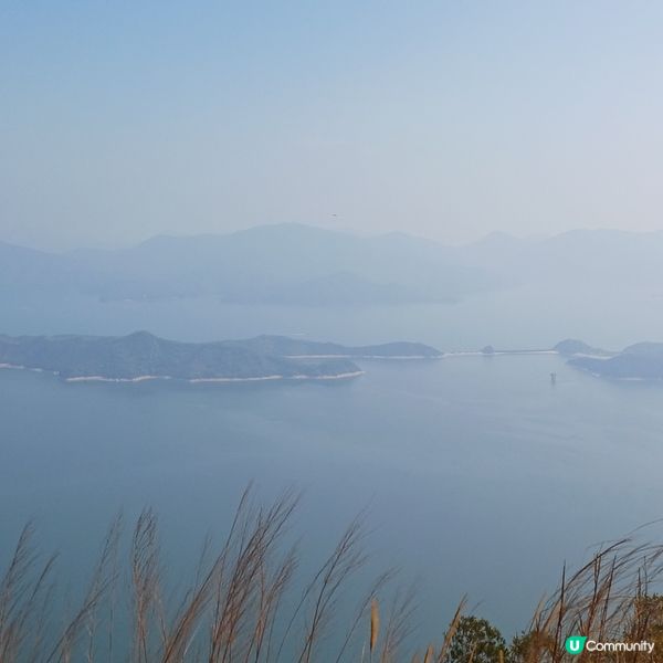 大埔頭 九龍坑山 八仙嶺