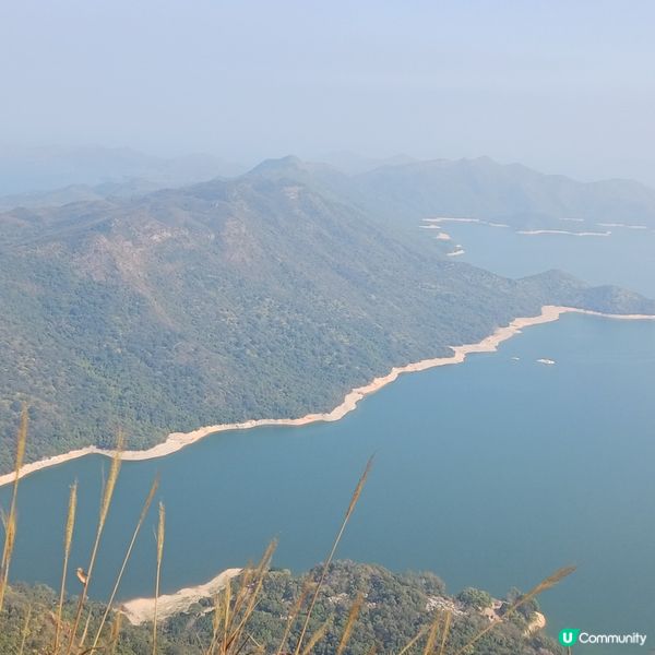 大埔頭 九龍坑山 八仙嶺