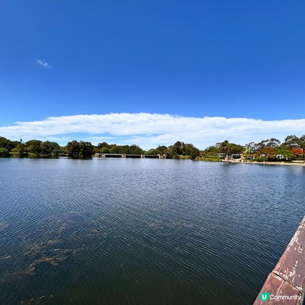 澳洲/布里斯班North Lakes 一日遊懶人包