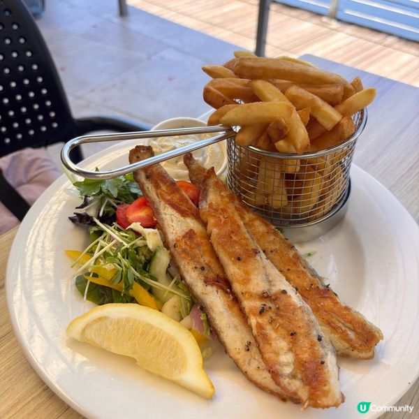 澳洲/布里斯班North Lakes 一日遊懶人包