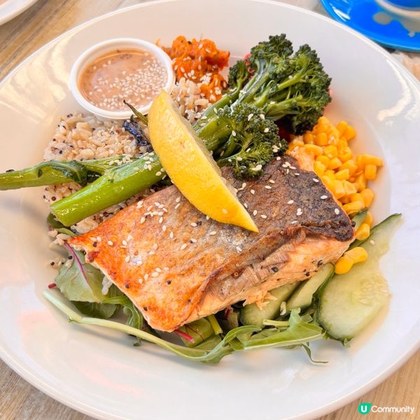 澳洲/布里斯班North Lakes 一日遊懶人包