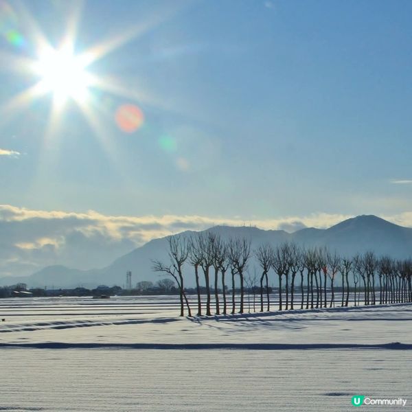 西蒲冬日雪景 ❄️ 馬堀田園美景 🌾