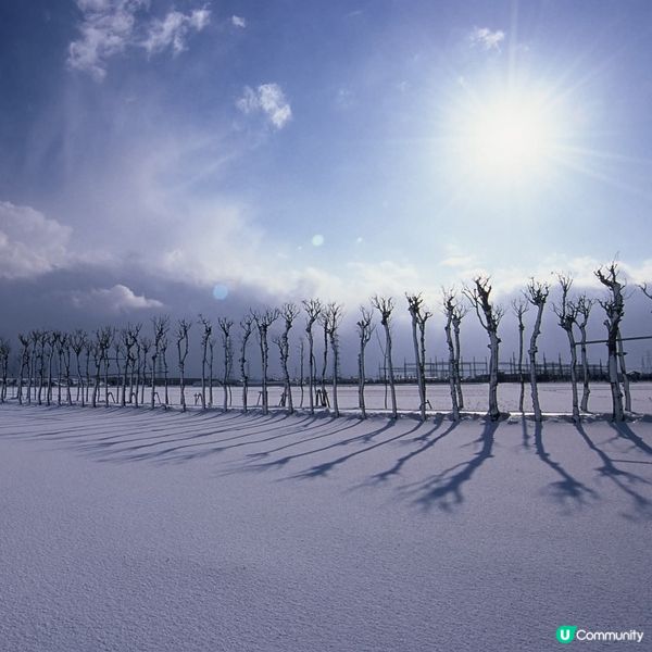 西蒲冬日雪景 ❄️ 馬堀田園美景 🌾