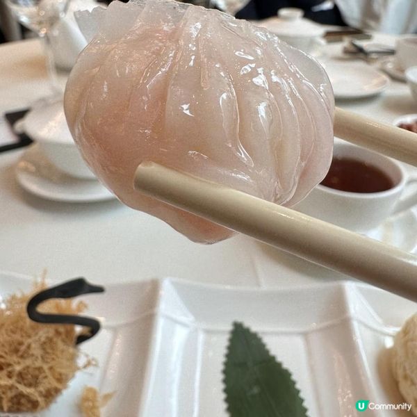 🩷酒店頂級中菜盛宴😍享受高質食物😋