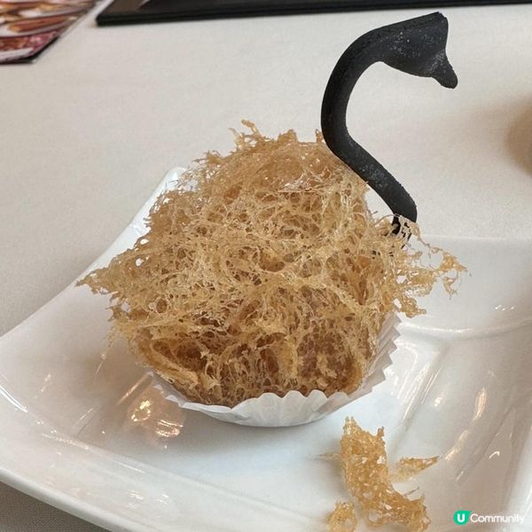 🩷酒店頂級中菜盛宴😍享受高質食物😋