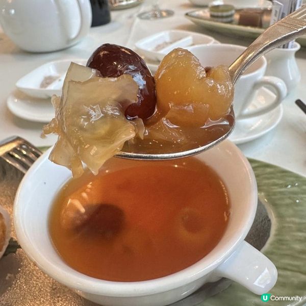 🩷酒店頂級中菜盛宴😍享受高質食物😋