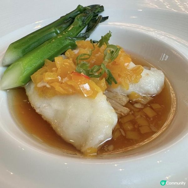 🩷酒店頂級中菜盛宴😍享受高質食物😋