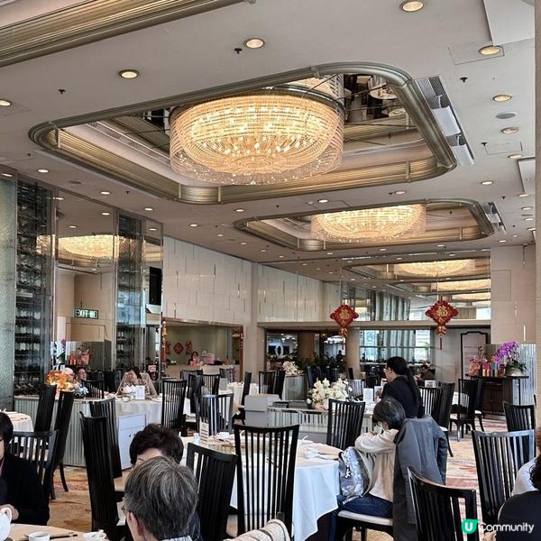 🩷酒店頂級中菜盛宴😍享受高質食物😋