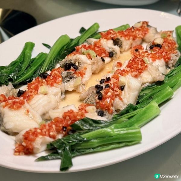 全新放題盛宴！