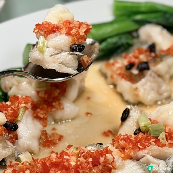 全新放題盛宴！