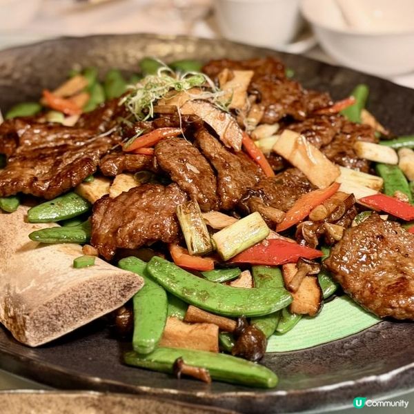 全新放題盛宴！