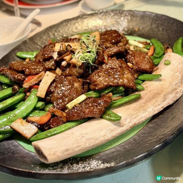 全新放題盛宴！