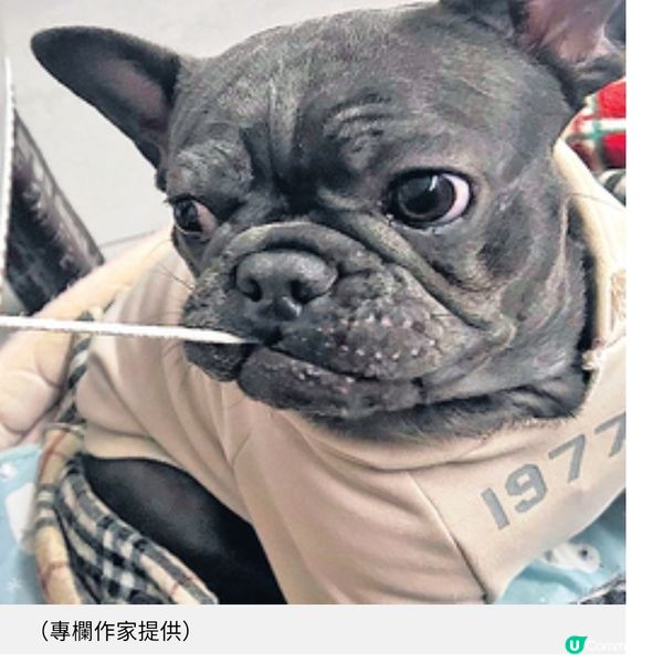 世界無「咁就好啦」

最後更新:3小時