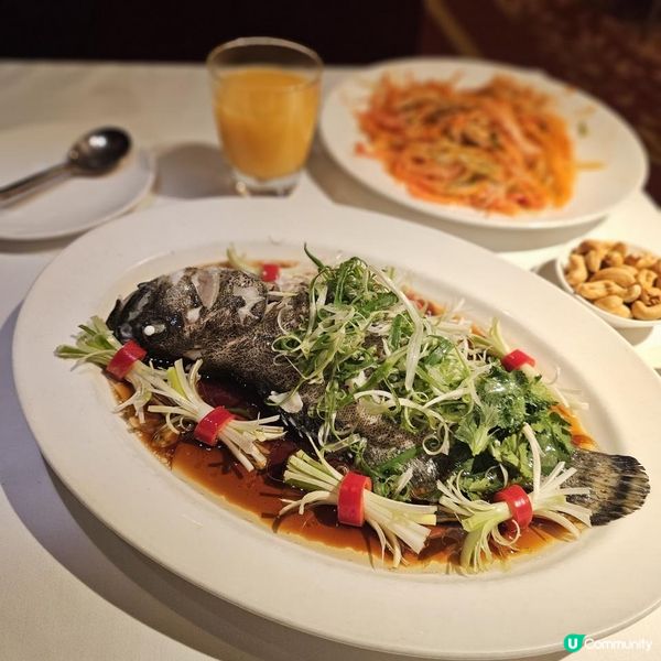 駿馬迎春宴 賀年撈起