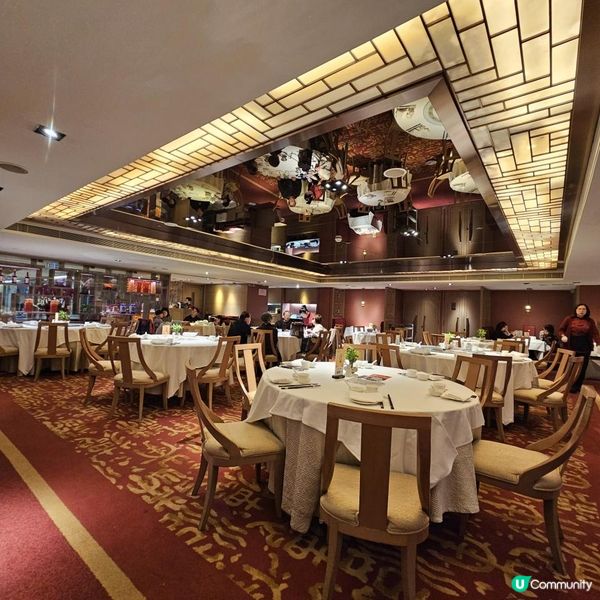 駿馬迎春宴 賀年撈起