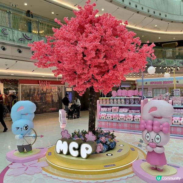 🌸新年打卡必去 🧧 新春櫻花鐵道之旅