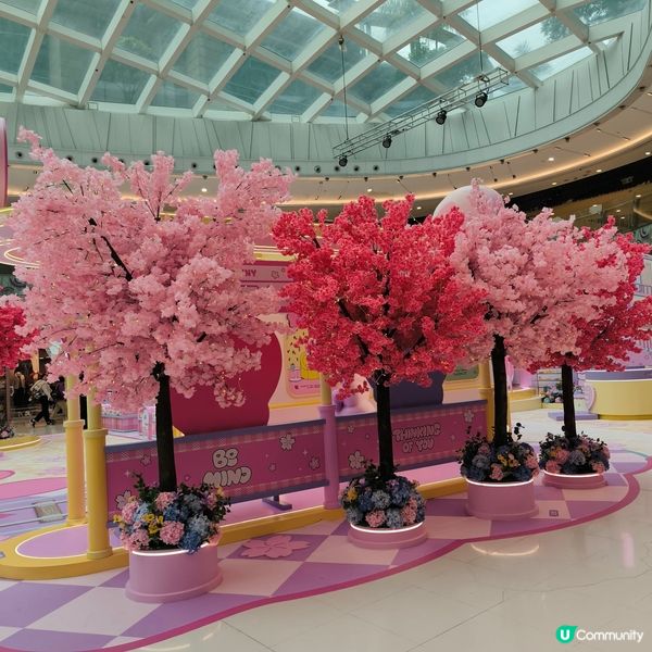 🌸新年打卡必去 🧧 新春櫻花鐵道之旅