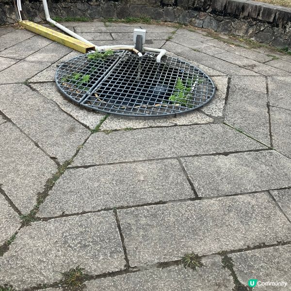 天水圍屏山文物徑的小日子