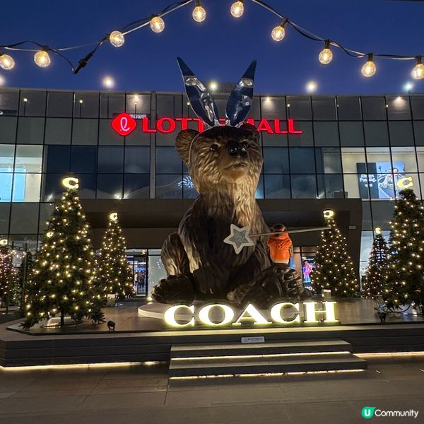 釜山必去The Coach coffee shop✨