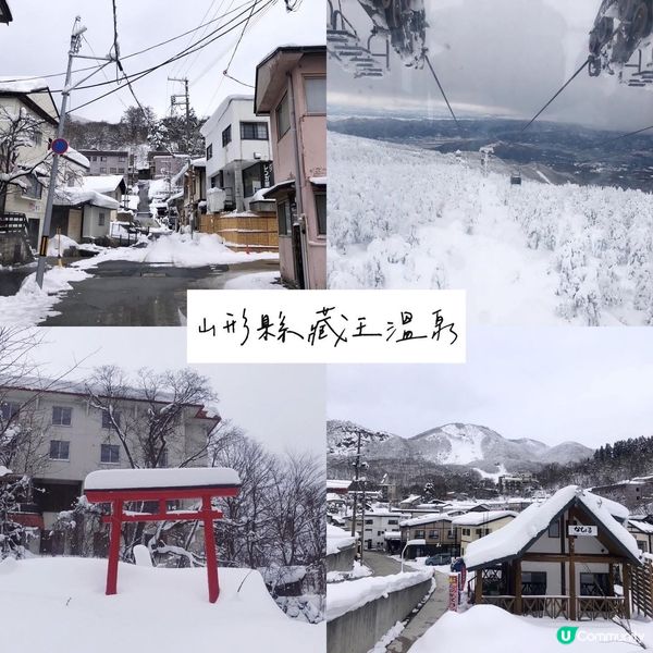 日本東北八日去五個縣!❄️⛄️🗻