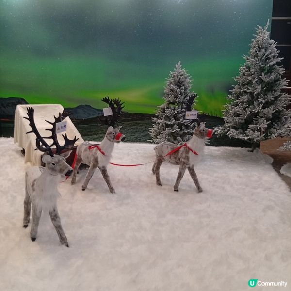 農曆新年旅行未定？來博覽會筍價出發！✈️