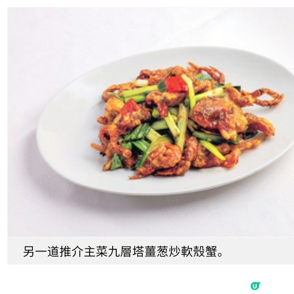 沙田馬場馬年開運大餐公眾席百勝廳無敵景觀美食推介