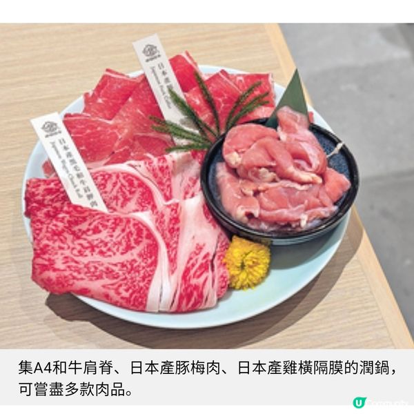 好鍋日子半價歎旨辛赤鍋 茄湯煮芝士雜炊嘗盡精華