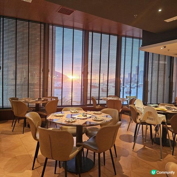 食上癮的九肚魚天婦羅